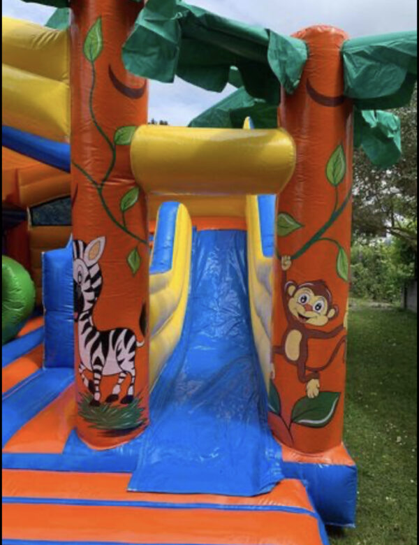Château jungle – Image 5